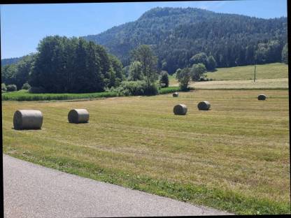Bild 4:Heu 2025