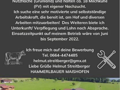 Suche Praktikanten
