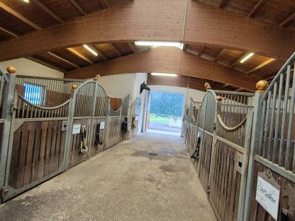 Bild 5:Einstellbox in 6460 Imst frei