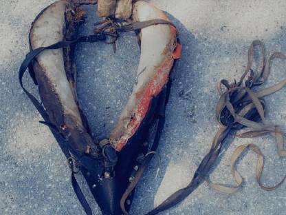 Bild 2:Pferdegeschirr (Kummet)