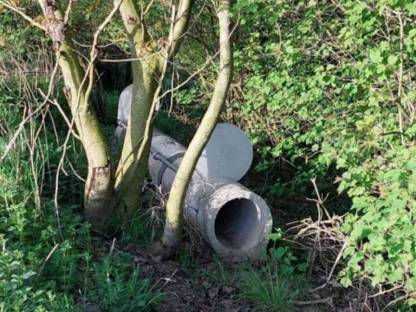 Bild 2:Betonrohrfalle