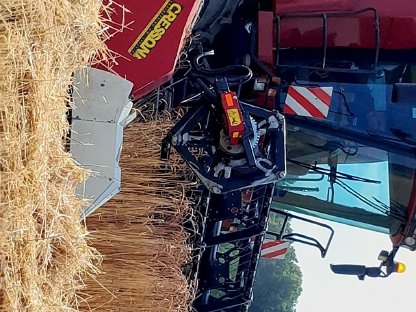 Bild 3:Premium Dinkel von der Glojacher Alm Ernte 2025