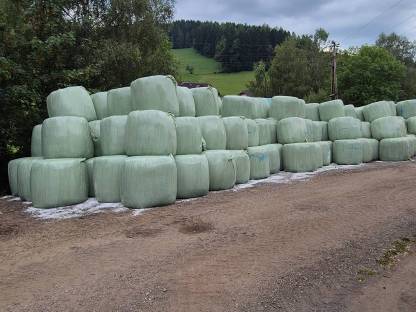 Siloballen für Milchkühe