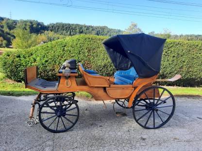 Bild 3:Vis-à-vis Kutsche
