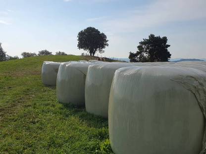 Bild 4:Maissilageballen