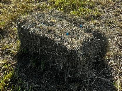 Heuballen