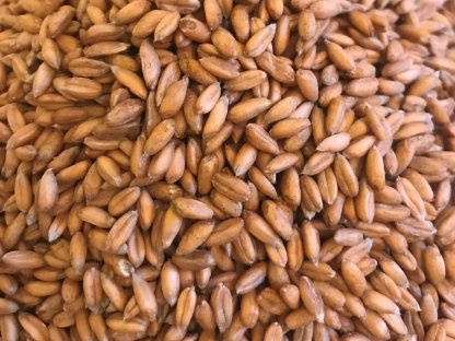 Bio-Ware zu verkaufen