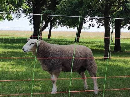 Bio Texel