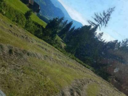 Bild 3:Heu aus biologischer Landwirtschaft