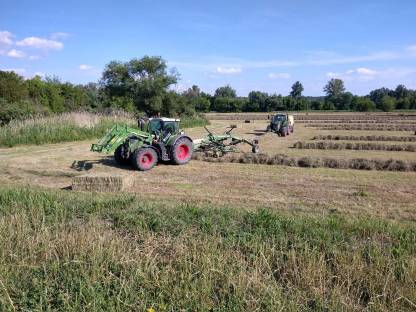 Bild 3:Heuballen Quaderballen