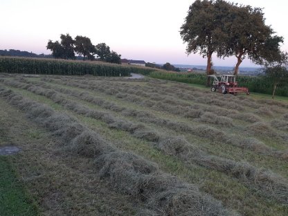 Kleinballen zweiter Schnitt (Grummet) - jetzt sichern