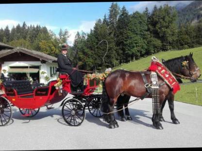 Bild 3:Pferdekutsche/Pferdeschlitten