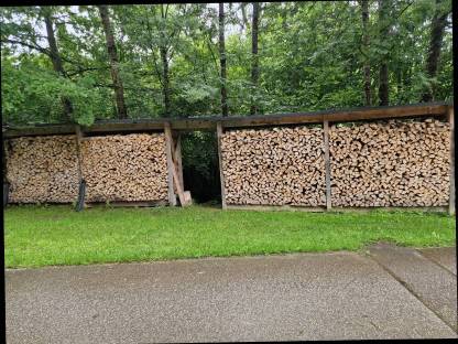 Bild 2:Brennholz Buche