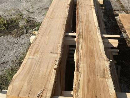 Bild 5:Eichenholz Schnittware, 30, 50 mm