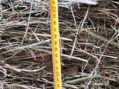 Bild 4:Bio Rundballen 2. Schnitt 2024