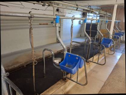 Bild 2:Suche Aufstallung