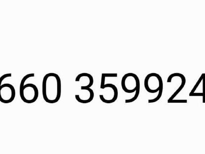 Bild 3:Dachziegel Eternit Dachstein