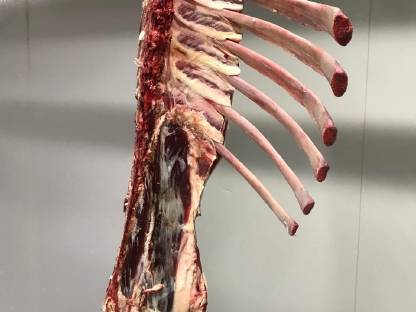 Bild 3:Suche Direktvermarkter oder kleinen Schlachthof, BIO