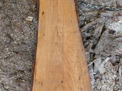 Bild 3:Haselnuss-Pfosten Schnittholz