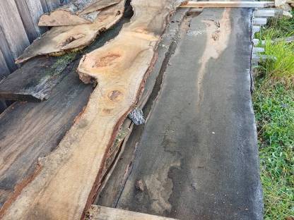 Bild 3:Verkaufe Birnstamm geschnitten