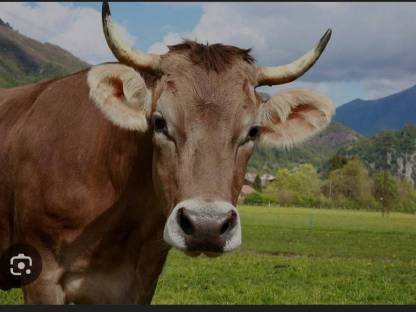 Landwirtschaft