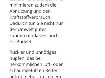 Bild 7:Airboss Reifen