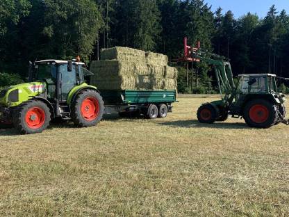 Bild 3:Heu 1. Schnitt Pferdeheu Quaderballen