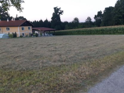 Bild 3:Kleinballen zweiter Schnitt (Grummet) - jetzt sichern