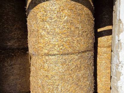 Bild 3:Stroh Rundballen