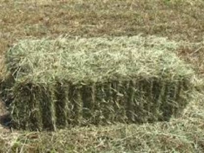 Heuballen 2. Schnitt