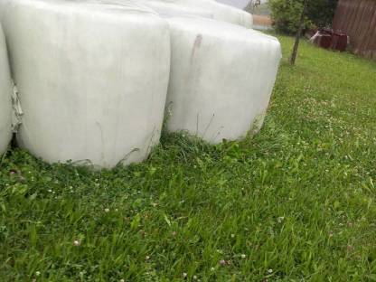 Bild 2:BIO-Silageballen 10 Stk.