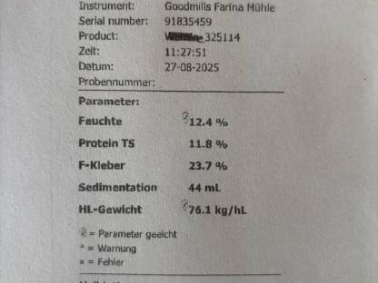 Bild 3:Dinkelkorn und Roggenkorn