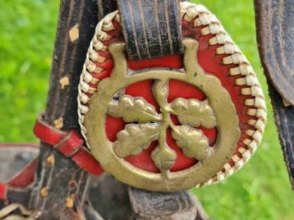 Bild 7:Haflinger Kummt-Geschirr