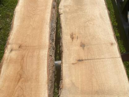 Bild 9:Bergahorn Pfosten