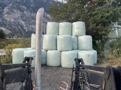 Bild 5:Maissilageballen