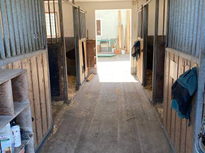 Bild 2:Pferdeboxen - Einstellplatz frei