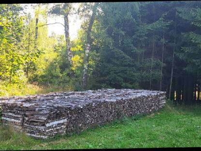 Brennholz Birke