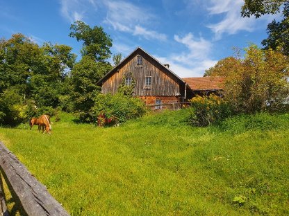 Bild 5:Wochenendhaus zu vermieten