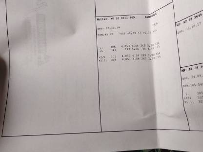 Bild 6:Jersey Jungkuh