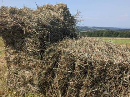 Bild 7:Bio Heu und Grummet