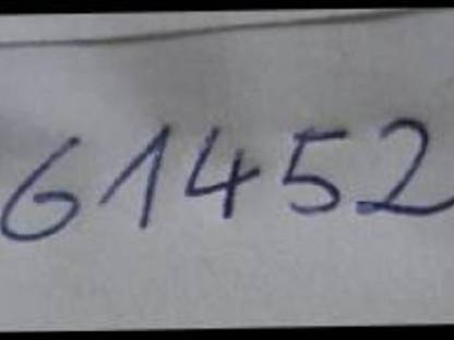 Bild 3:Isländer Mix Hengst