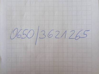 Bild 5:Suffolk Widder