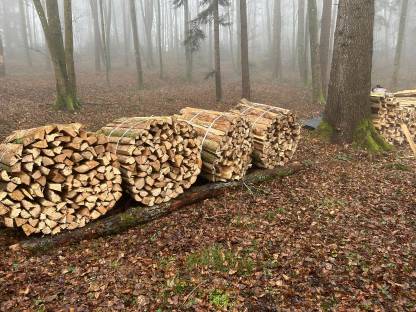 Brennholz