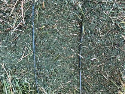 Bild 8:Luzernesilageballen