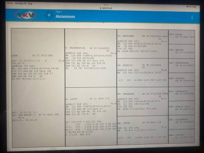 Bild 6:Trächtige Fleckviehkalbinnen