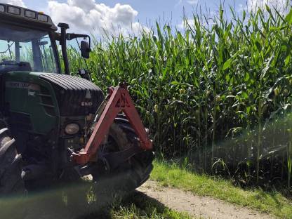 Bild 2:Silomais ab Feld