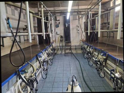 Bild 4:Mekstand und Milchtank