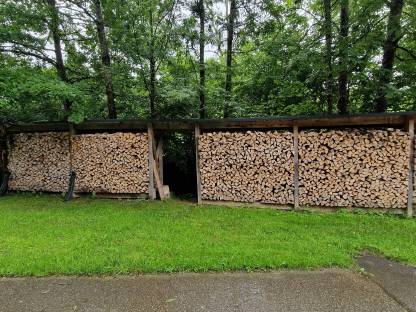 Brennholz Buche