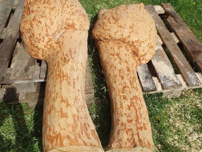 Bild 9:Ahorn Pfosten, Zirben Abschnitte, Maserknolle