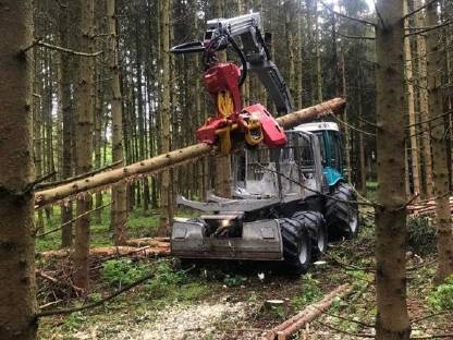 Bild 3:Pfanzelt Forst- und Trageschlepper Felix 212-6WDV mit Woody